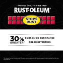 RUST-OLEUM® 376856 
