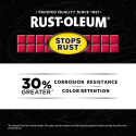 RUST-OLEUM® 376869 