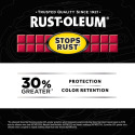 RUST-OLEUM® 376885 