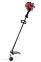 25cc 2-Cycle Straight Shaft String Trimmer 