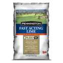 6-Pound Fast Acting Lime Plus Ast