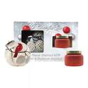 Snowy Cardinal Ornament With String Light And Candle Gift Set