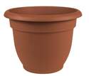 10-Inch Terra Cotta Ariana Planter 