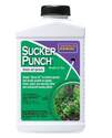 8-Fl. Oz. Ready To Use Sucker Punch Sprout Control 