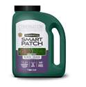 Smart Patch Dense Shade Grass Seed, 5-Pound