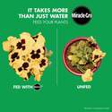 Miracle-Gro® 3019806 