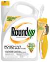 Roundup Poison Ivy Plus Tough Brush Killer, 1.33 Gal With Wand