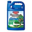 1-Gallon Concentrate 12-Month Tree And Shrub Protect And Feed