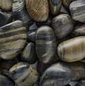 5-Pound Striped Polished Pebbles