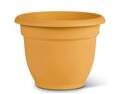 10-Inch Earthy Yellow Plastic Ariana Self Watering Planter