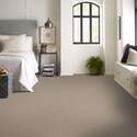 Shaw Floors® 5E243-00501 