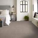 Shaw Floors® 5E254-00102 