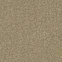 12-Foot Cabana Life T Carpet - Dried Clay