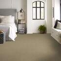 Shaw Floors® E9958 00137 