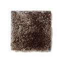 Mustang Sally Coffee Bean Indoor Carpet By Sq. Ft.
