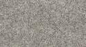 12-Foot Taupe Stone Ride It Out Carpet, Per Square Foot