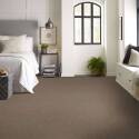 Shaw Floors® 5E243-00700 