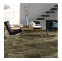 Shaw Floors® 0528V-00708 