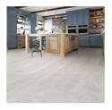 Shaw Floors® 220TS-100 