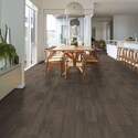 Shaw Floors® 0874V-00556 