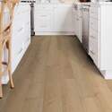 Shaw Floors® SL448-02022 