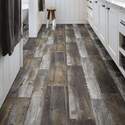 Shaw Floors® 0463V-00746 