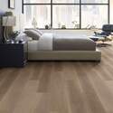 Shaw Floors® SL448-01028 