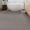 Shaw Floors® 423TS-00550 