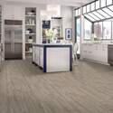 Shaw Floors® VG091-00194 
