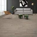 Shaw Floors® VG091-00194 