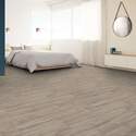 Shaw Floors® VG091-00194 