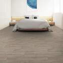Shaw Floors® VG091-00194 