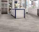 Shaw Floors® VG089-00582 