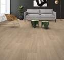 Shaw Floors® VG089-00232 