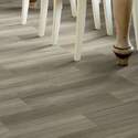 Shaw Floors® 0463V-00176 