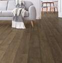 Shaw Floors® VG089- 00743 