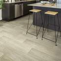 Shaw Floors® VG089-00153 