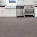 Shaw Floors® 403TS-00550 