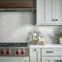 Shaw Floors® 484TS-00150 