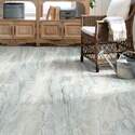 Shaw Floors® 248TS-520 