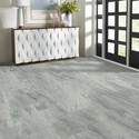 Shaw Floors® 248TS-520 