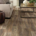 Shaw Floors® 2001V-00813 
