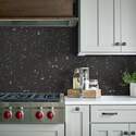 Shaw Floors® 483TS-900 