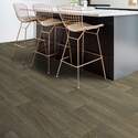 Shaw Floors® 1048V-00254 