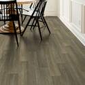 Shaw Floors® 1048V-00254 