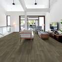 Shaw Floors® 1048V-00254 