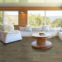 Shaw Floors® 1048V-00254 