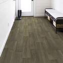 Shaw Floors® 1048V-00254 