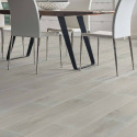 Shaw Floors® 290TS-550 