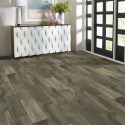 Shaw Floors® CS38Z-00750 